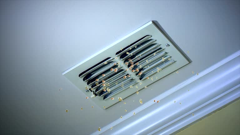 Best Affordable Air Duct Cleaning  in Marion, NC